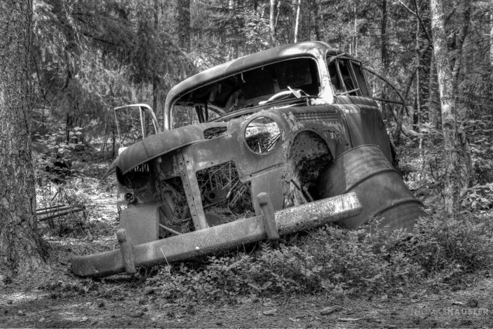 Lost Places - altes autowrack in schwarz-weiss