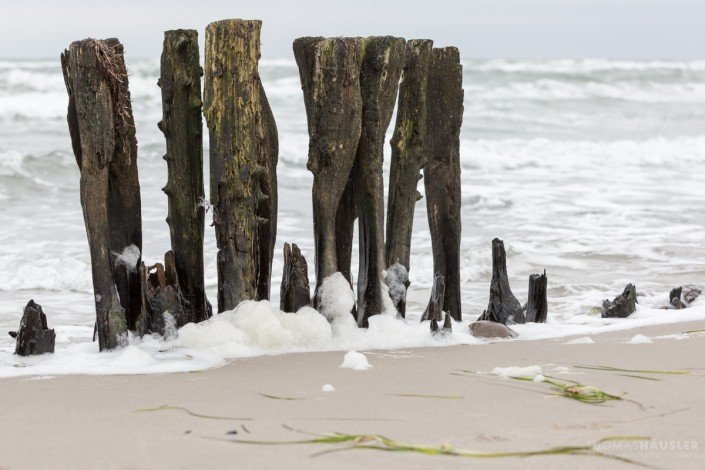 deutschland - Alte, vereinzelte Buhnen am Strand nach Dahme, im Hintergrund sieht man die Wellen einer bewegten Ostsee, Dezember 2015