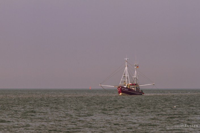 deutschland - Ein Bild des Krabbenkutters GRE 23 auf See bei der Arbeit