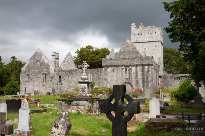 Irland - Muckross Abbey (auch Muckross Friary, irisch Mainistir Locha Léin) ist eine bedeutende kirchliche Anlage im Killarney-Nationalpark im Südwesten von Irland
