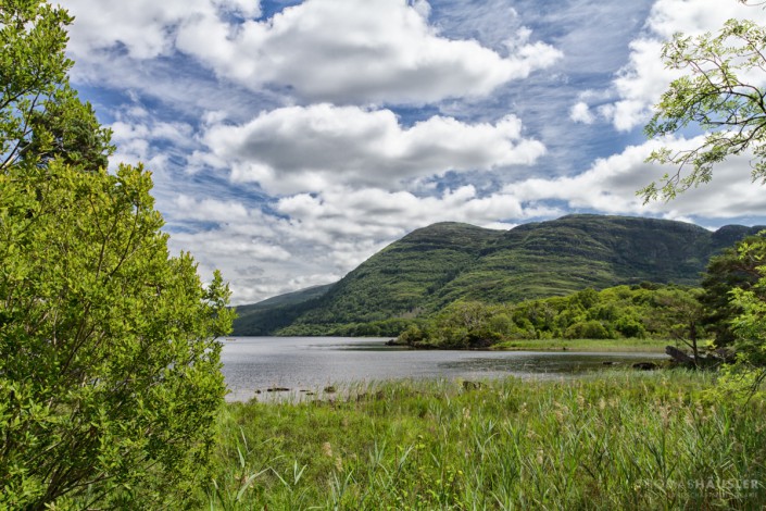 Irland - Der über 100 km² große Nationalpark grenzt an die Stadt Killarney und umfasst die drei Seen Lough Leane, Muckross Lake und Upper Lake, die insgesamt eine Fläche von 22 km² des Parks ausmachen.