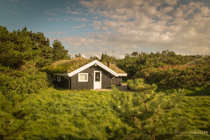 dänemark Ferienhaus in der grünen Dünenlandschaft von Hennestrand